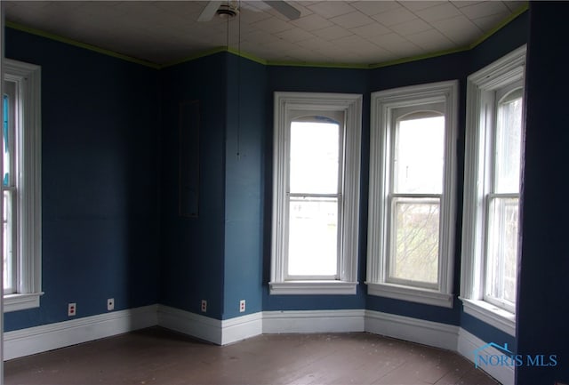 109 S Davis St, Forest, OH 45843 - photo 3