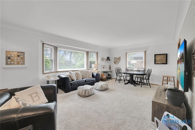 2710 131st St, Toledo, OH 43611 - living room with carpet floors