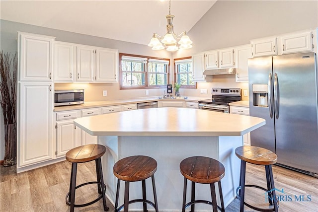 556 S Lathrop Rd, Swanton, OH 43558 - kitchen with appliances with stainless steel finishes, light countertops, light wood-style flooring, and under cabinet range hood
