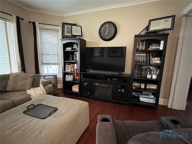 825 S Clinton St, Defiance, OH 43512 - living area featuring dark wood-style flooring and ornamental molding