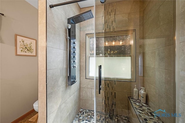 6170 S Winding Way, Swanton, OH 43558 - full bath with toilet and a tile shower