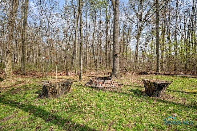 6170 S Winding Way, Swanton, OH 43558 - view of yard