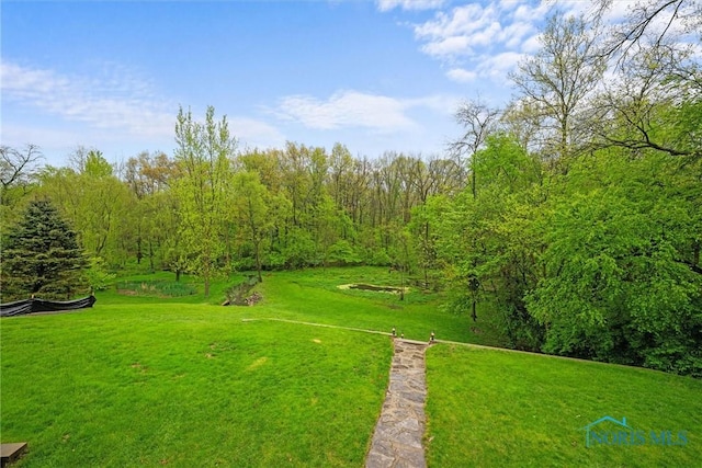 view of community with a lawn