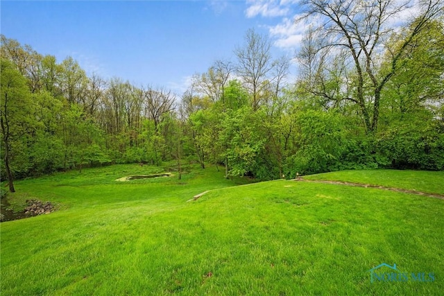 view of green lawn