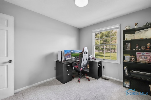 14384 Georgetown Dr, Bowling Green, OH 43402 - carpeted office space featuring baseboards