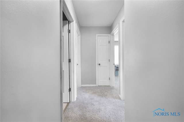 14384 Georgetown Dr, Bowling Green, OH 43402 - corridor featuring carpet flooring and baseboards