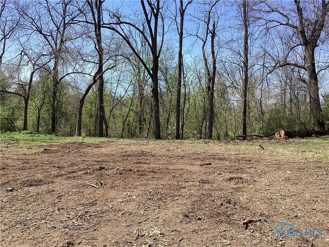 7909 Brint Rd, Sylvania, OH 43560 - photo 9