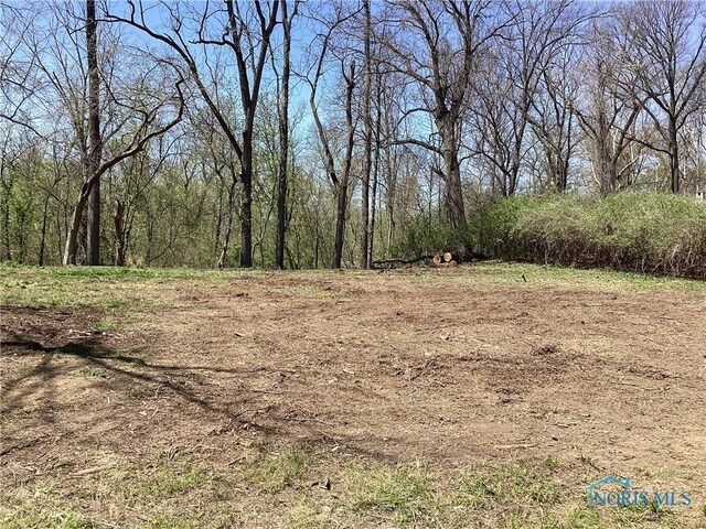 7909 Brint Rd, Sylvania, OH 43560 - photo 14