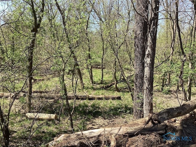 7909 Brint Rd, Sylvania, OH 43560 - photo 10