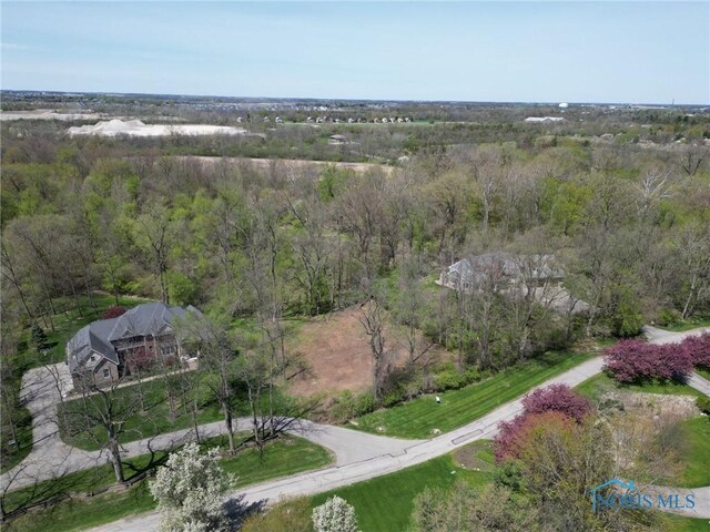 7909 Brint Rd, Sylvania, OH 43560 - photo 6