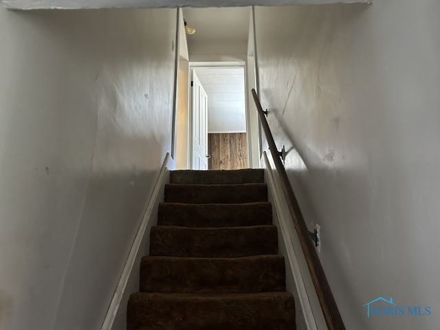 stairway featuring wood finished floors