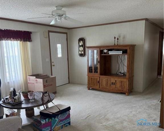429 W Main St, Delta, OH 43515 - interior space with crown molding, a wealth of natural light, and carpet floors