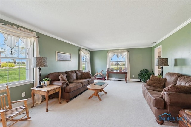 124 Miller Ave, Archbold, OH 43502 - living area with crown molding, light carpet, baseboards, and baseboard heating