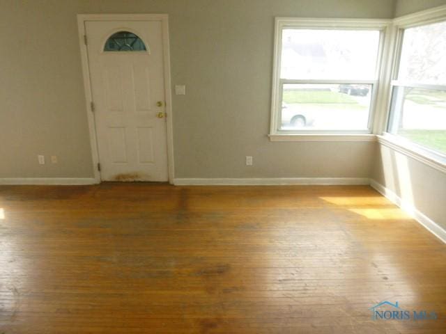 interior space with baseboards and wood-type flooring