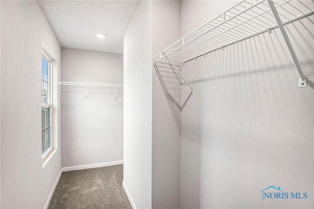spacious closet with carpet floors