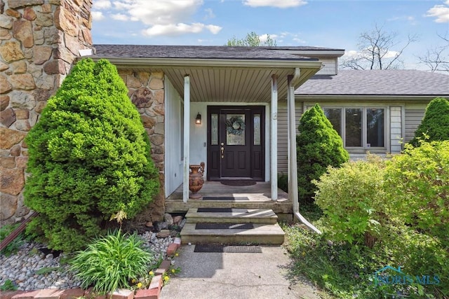 view of exterior entry featuring roof with shingles and stone siding