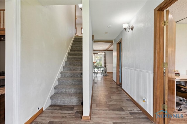 staircase featuring wood finished floors