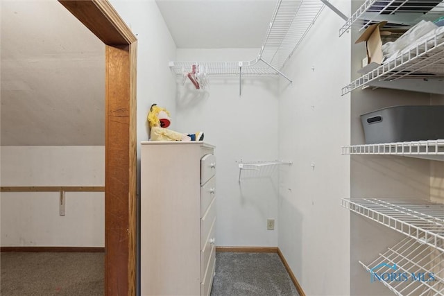 walk in closet featuring carpet flooring