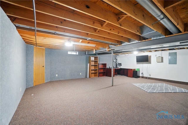 finished basement with carpet and electric panel