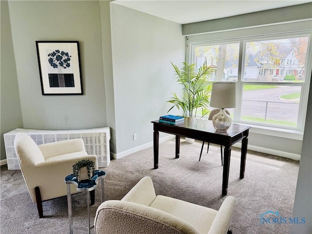 carpeted office space with baseboards