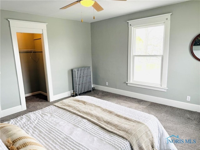 carpeted bedroom with radiator heating unit, a spacious closet, a closet, and baseboards