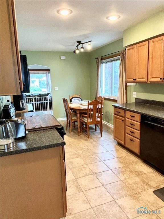 kitchen featuring black dishwasher, dark countertops, and a healthy amount of sunlight