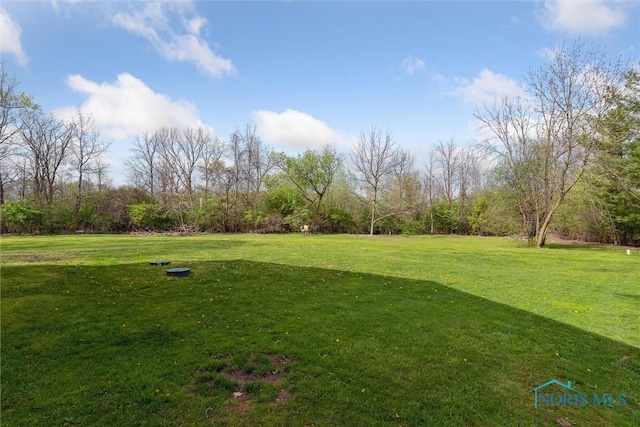 24203 W Reservation Line Rd, Curtice, OH 43412 - view of yard
