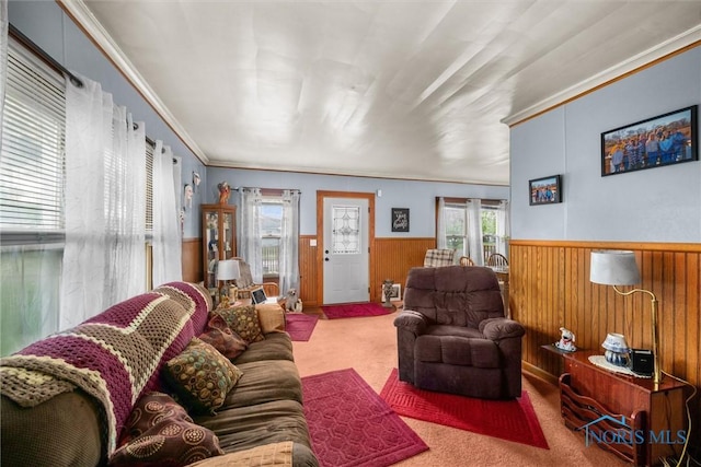 4532 290th St, Toledo, OH 43611 - living area with a wainscoted wall, carpet floors, wooden walls, and ornamental molding