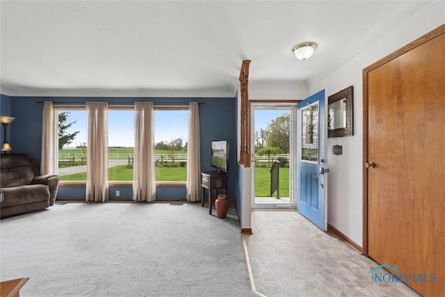 doorway to outside with light carpet and baseboards