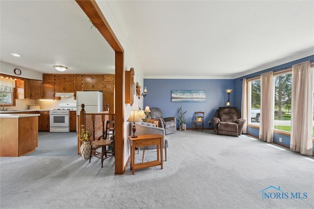 living area with light carpet