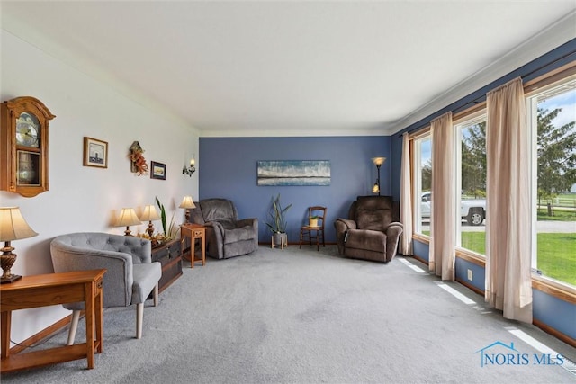 living room with carpet and a healthy amount of sunlight