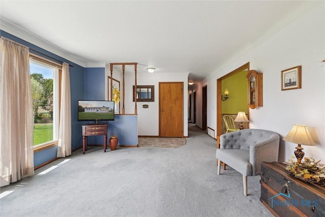 sitting room featuring baseboards, a wealth of natural light, and carpet floors