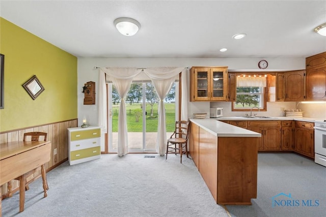 kitchen with plenty of natural light, a peninsula, brown cabinetry, and white appliances