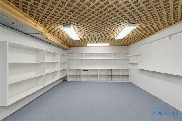 view of storage room