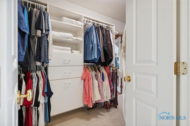 walk in closet featuring carpet