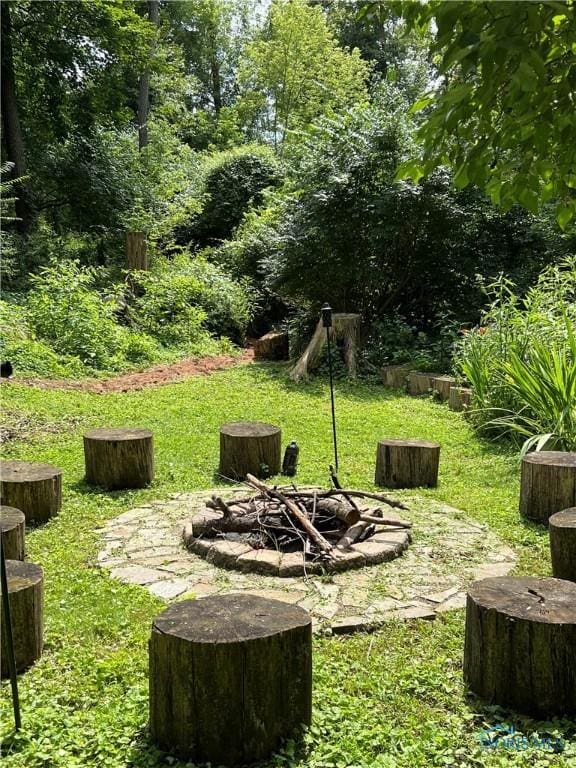 view of yard featuring a fire pit