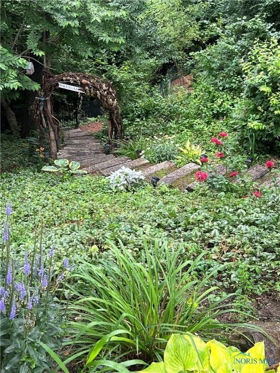 view of yard