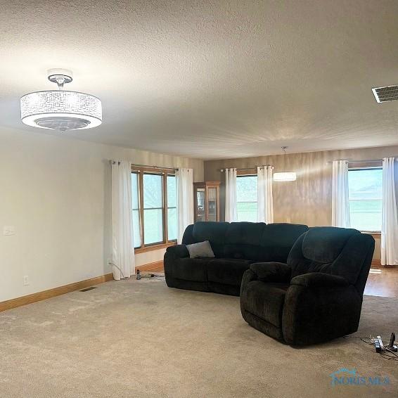 carpeted living area with baseboards, visible vents, and a textured ceiling