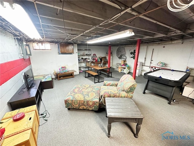 399 Melmore St, Tiffin, OH 44883 - basement with carpet