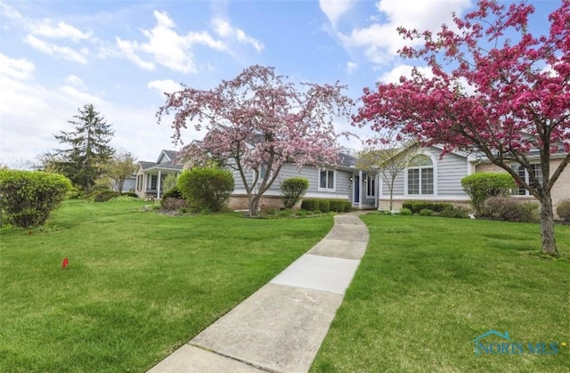 view of front facade with a front yard