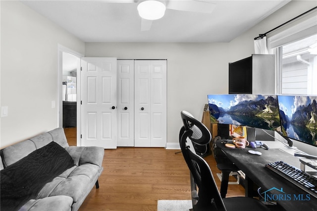 office space featuring wood finished floors and a ceiling fan