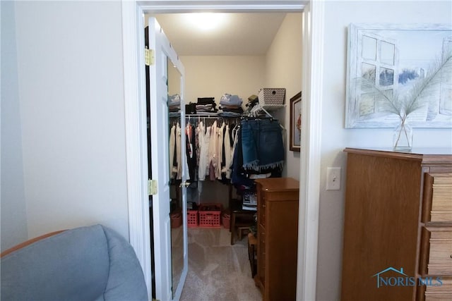 spacious closet with carpet