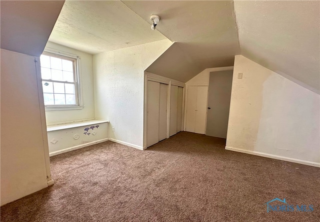 4865 296th St, Toledo, OH 43611 - additional living space featuring lofted ceiling, carpet, baseboards, and a textured ceiling