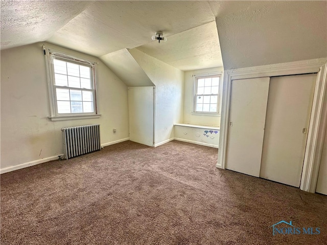 4865 296th St, Toledo, OH 43611 - bonus room featuring a wealth of natural light, radiator heating unit, vaulted ceiling, a textured ceiling, and carpet floors