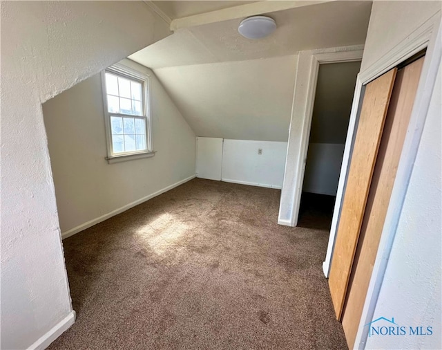 4865 296th St, Toledo, OH 43611 - bonus room featuring baseboards, carpet, and vaulted ceiling