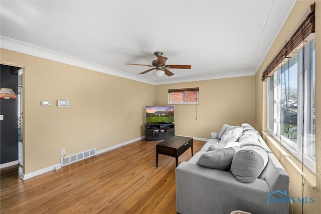 living room featuring light wood-style flooring, visible vents, ceiling fan, baseboards, and ornamental molding