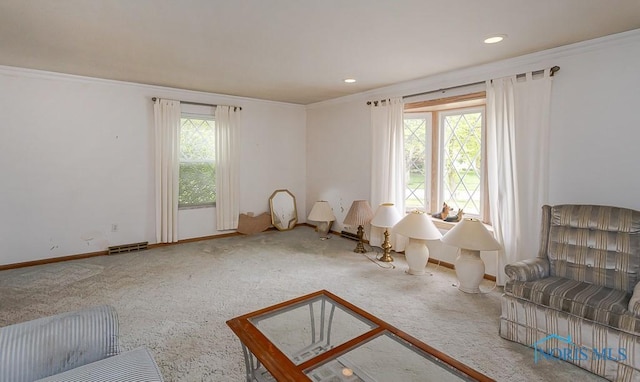 400 Orchard View Dr, Maumee, OH 43537 - sitting room with carpet, baseboards, ornamental molding, and recessed lighting