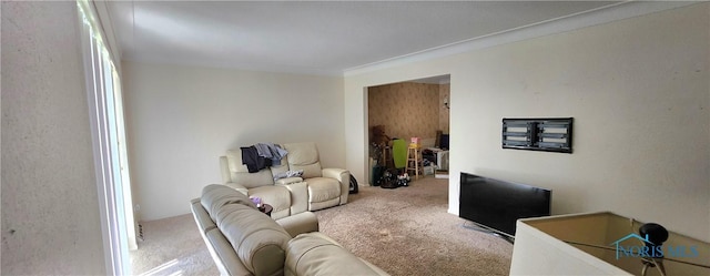 1773 Valley Way Dr, Toledo, OH 43614 - living room with carpet