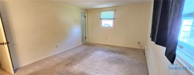 1773 Valley Way Dr, Toledo, OH 43614 - spare room featuring plenty of natural light, carpet flooring, crown molding, and baseboards