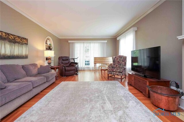202 Hancock St, Findlay, OH 45840 - living room with ornamental molding and light wood-style floors